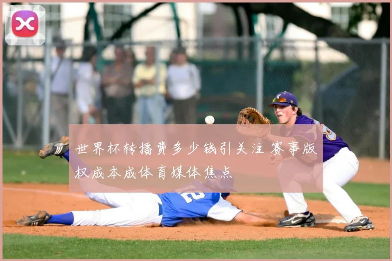 世界杯转播费多少钱引关注 赛事版权成本成体育媒体焦点