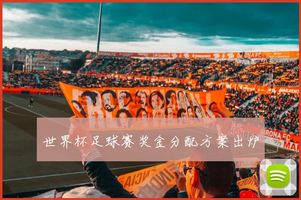 世界杯足球赛奖金分配方案出炉