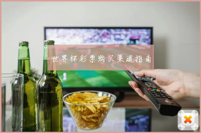 世界杯彩票购买渠道指南