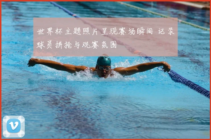 世界杯主题照片呈现赛场瞬间 记录球员拼抢与观赛氛围