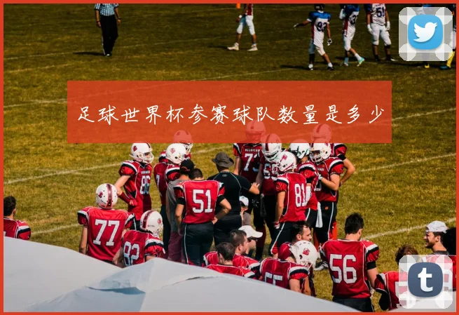 足球世界杯参赛球队数量是多少