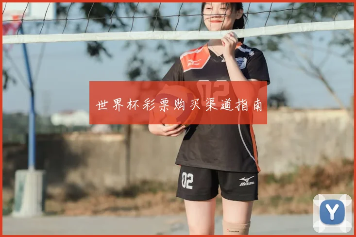 世界杯彩票购买渠道指南