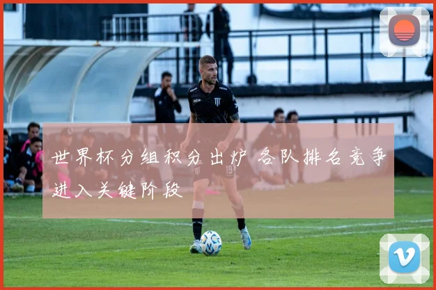 世界杯分组积分出炉 各队排名竞争进入关键阶段