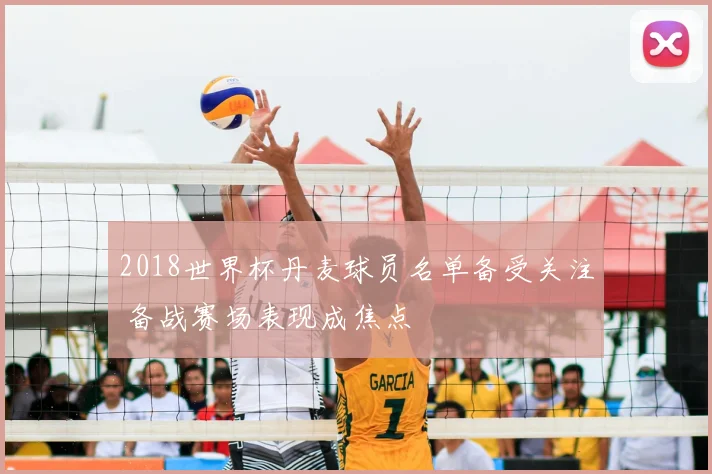 2018世界杯丹麦球员名单备受关注 备战赛场表现成焦点