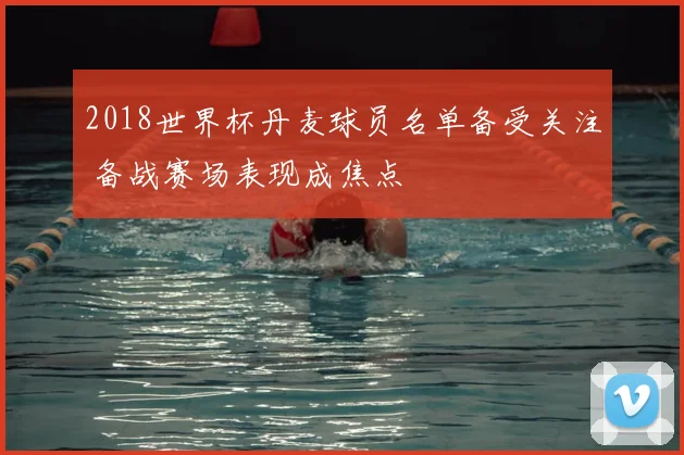 2018世界杯丹麦球员名单备受关注 备战赛场表现成焦点