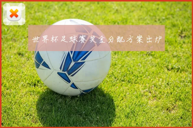 世界杯足球赛奖金分配方案出炉