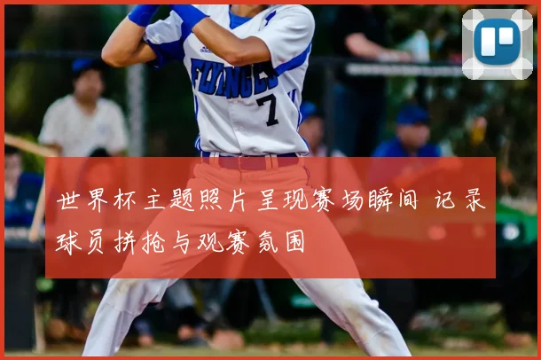 世界杯主题照片呈现赛场瞬间 记录球员拼抢与观赛氛围