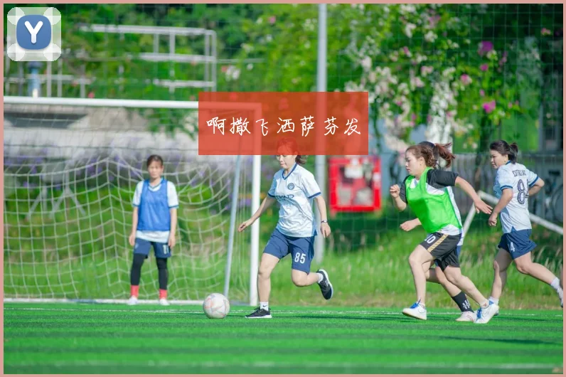 世界杯举办国家揭晓 赛事落地何处引关注