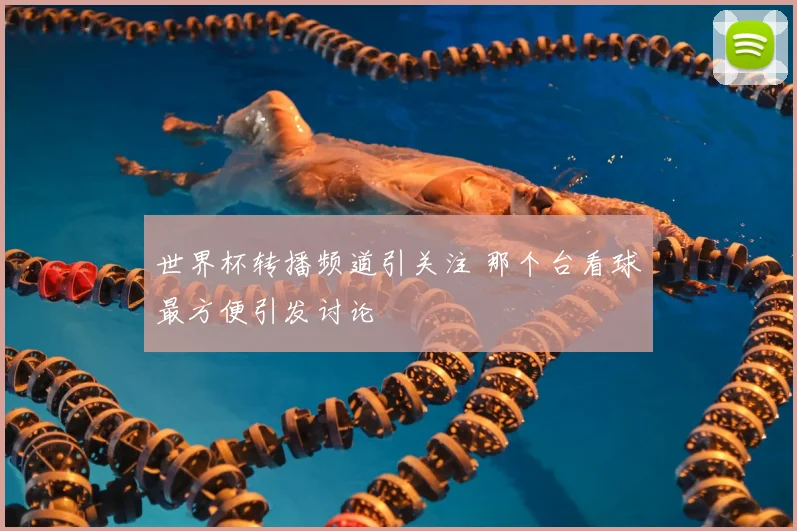 世界杯转播频道引关注 那个台看球最方便引发讨论