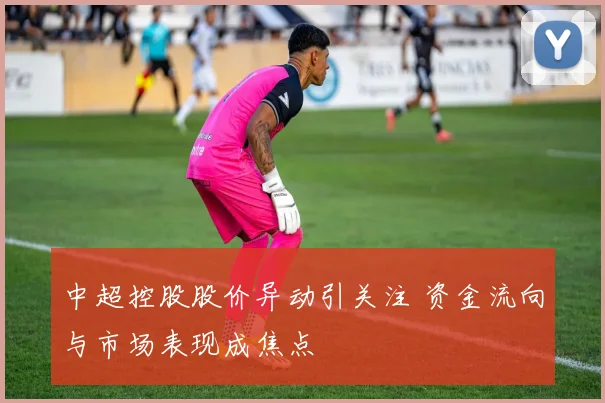 中超控股股价异动引关注 资金流向与市场表现成焦点
