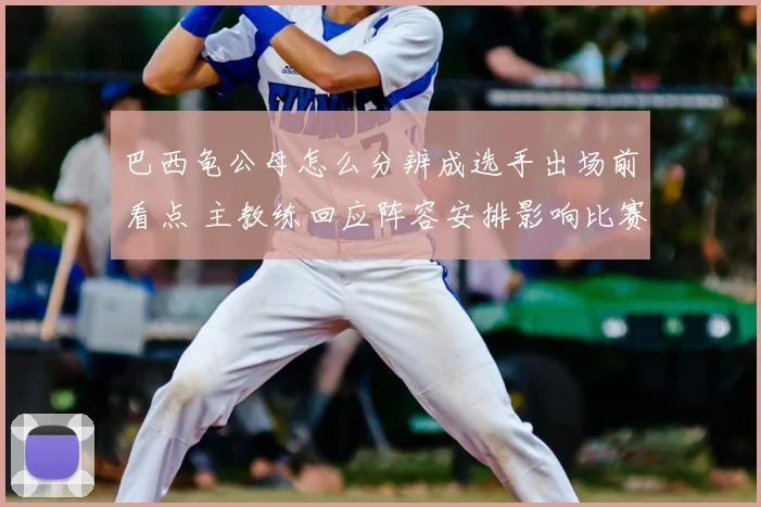 巴西龟公母怎么分辨成选手出场前看点 主教练回应阵容安排影响比赛走势