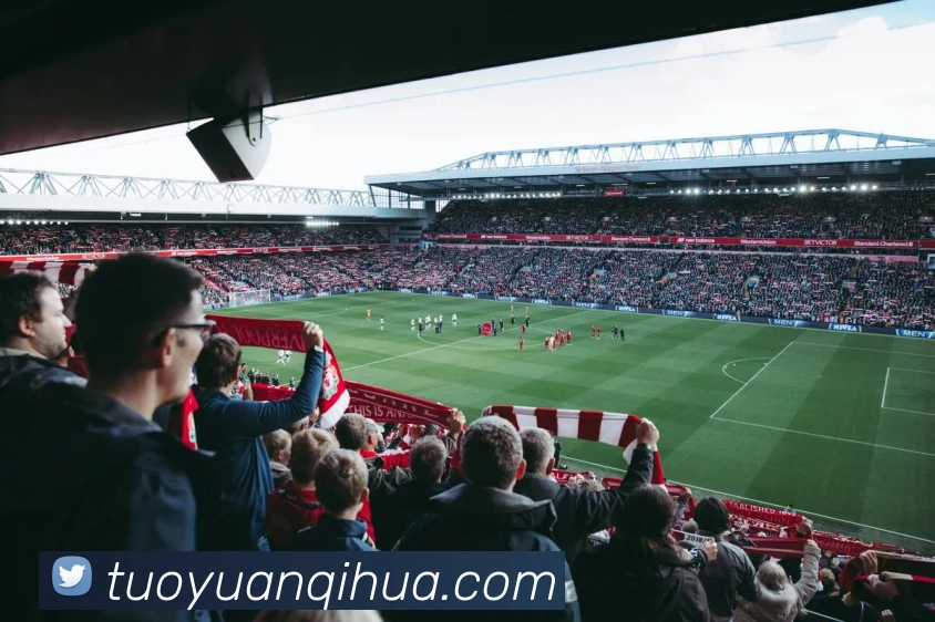 世界杯官方入口服务体系