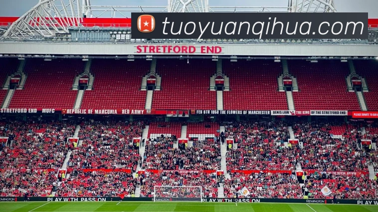 世界杯官方入口APP 体育赛事宣传图